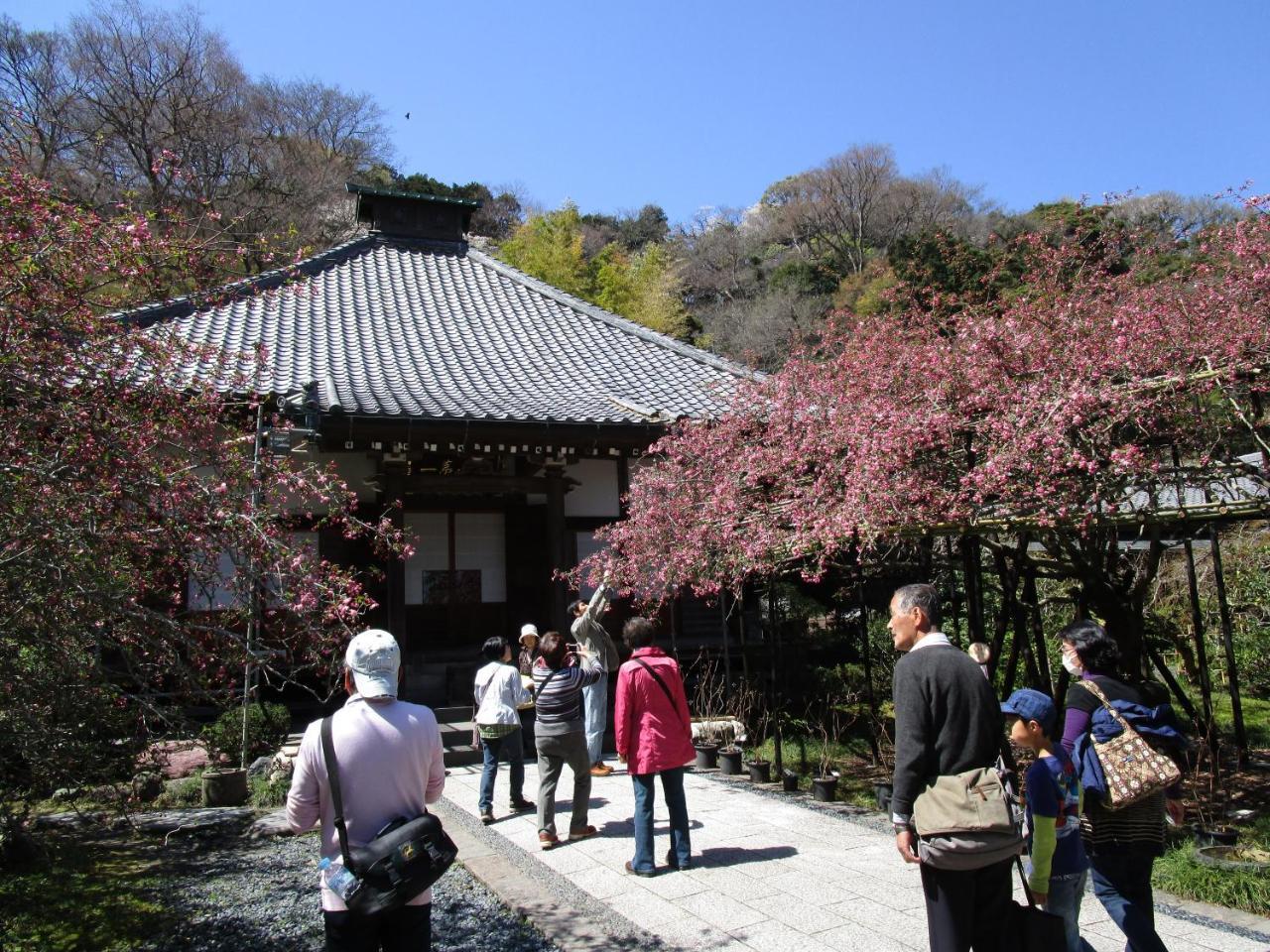 Kamakura Central Guest House Ngoại thất bức ảnh